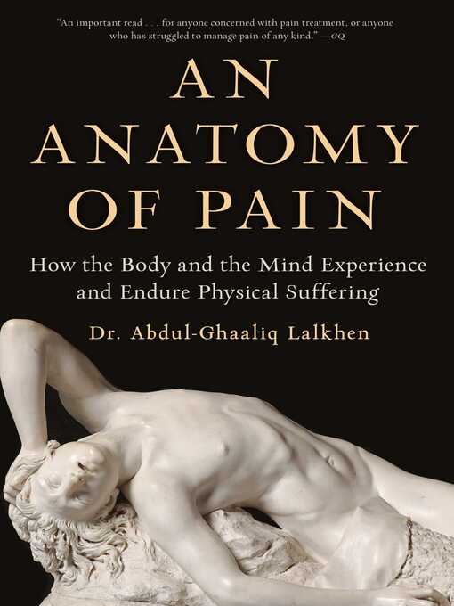 Title details for An Anatomy of Pain by Abdul-Ghaaliq Lalkhen - Wait list